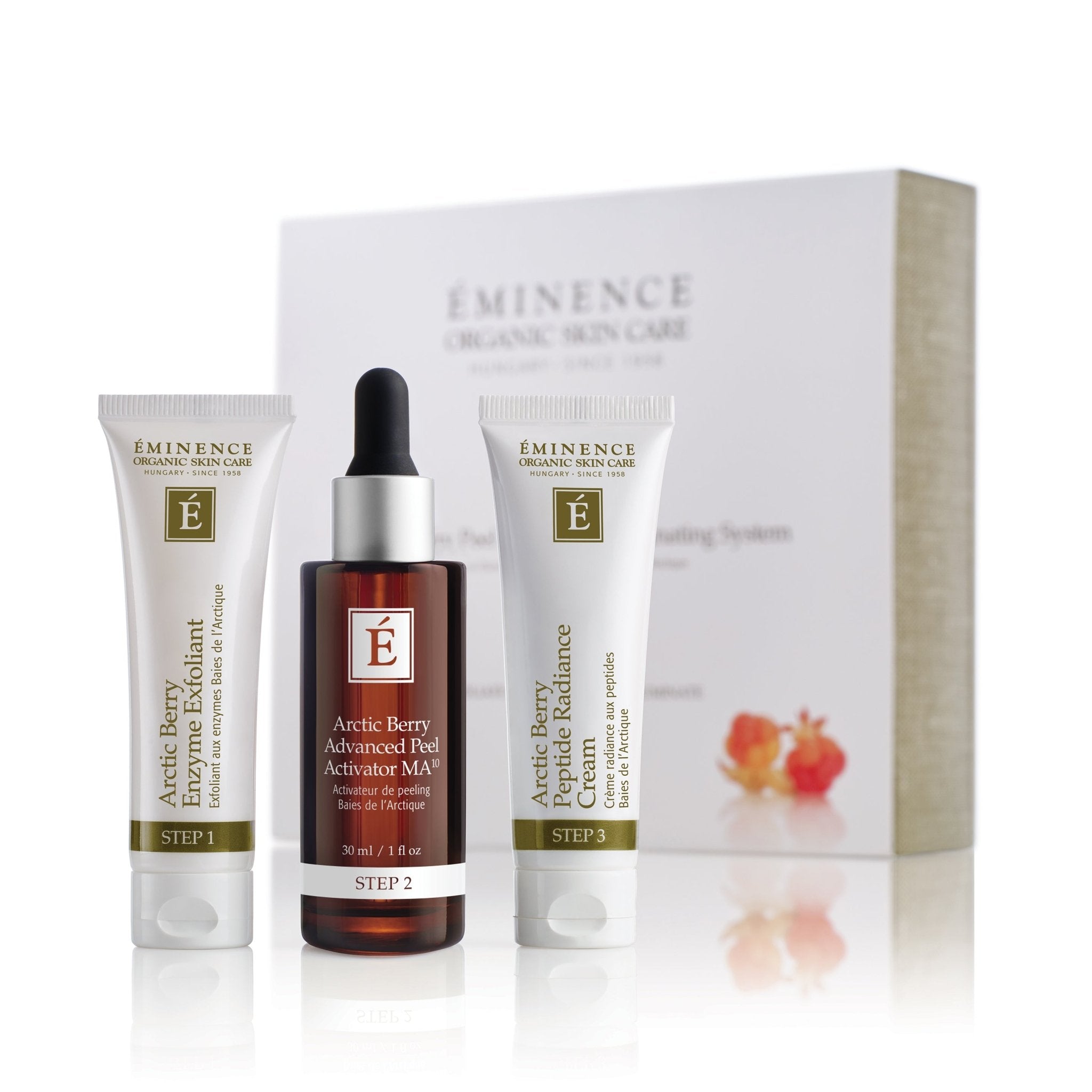 Arctic Berry Peel & Peptide Illuminating System - A Silent Moment Organics